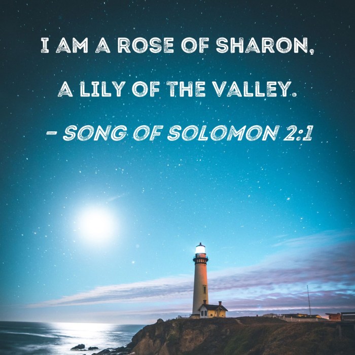 Song of solomon chapter 10 summary