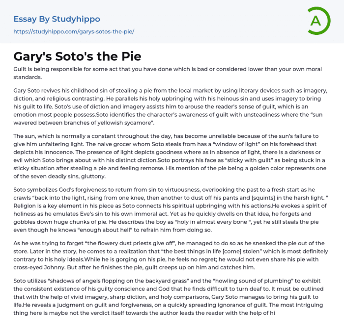 The pie by gary soto questions answers