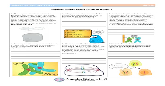 Amoeba sisters nature of science worksheet