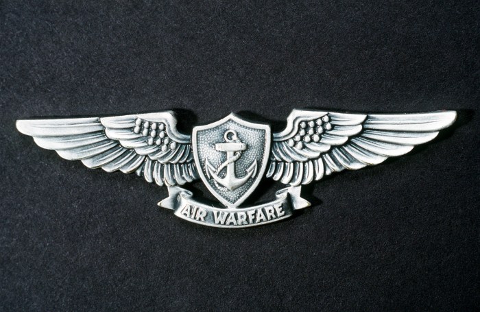 Warfare enlisted aviation