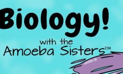 Amoeba sisters nature of science worksheet