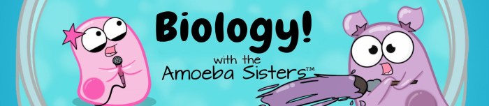 Amoeba sisters nature of science worksheet