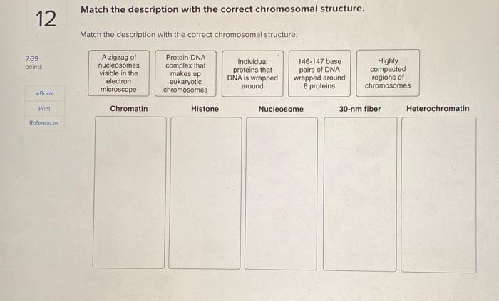 Match the description with the correct chromosomal structure.