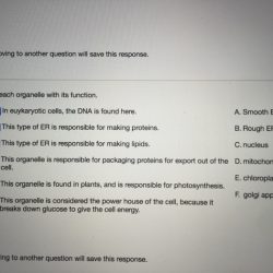 Organelles organelle bing plant markers biology physiology