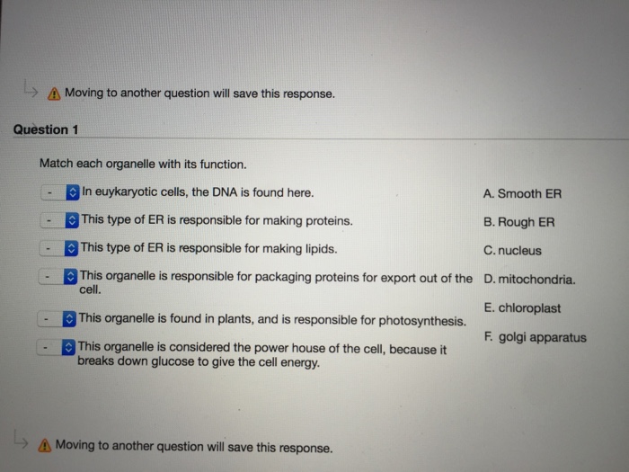 Organelles organelle bing plant markers biology physiology