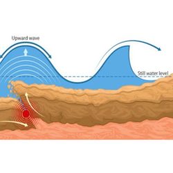 Identify statements true of landslides and tsunamis