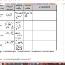 Color by number biomolecules edition answer key