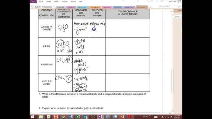 Color by number biomolecules edition answer key