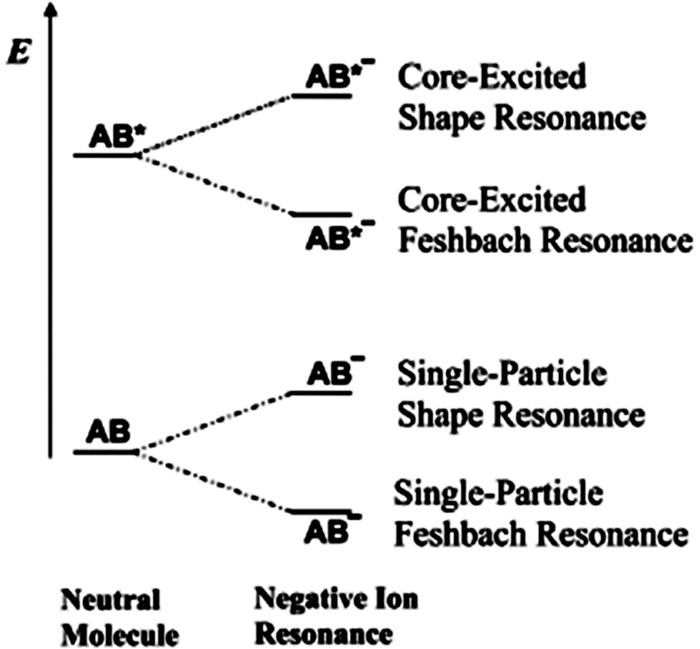 Conceptual physics chapter 28 reflection and refraction answers