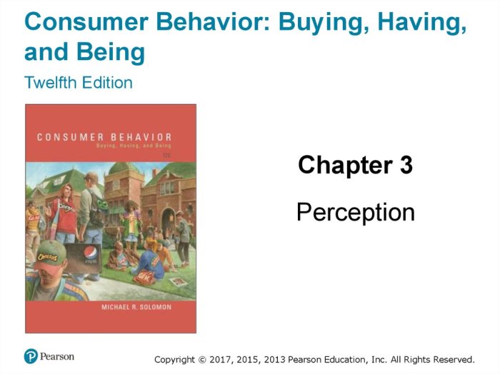 Consumer behavior buying having being 13th edition