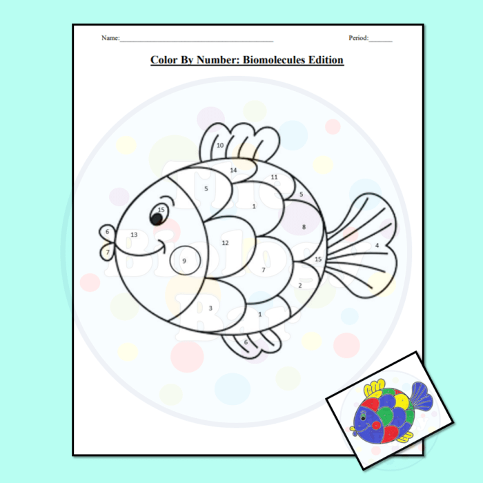 Color by number biomolecules edition answer key